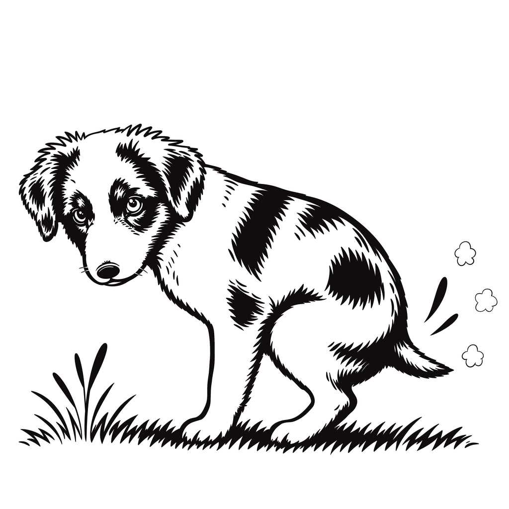 Mini Aussie Dog Pooping Black and White Unframed Art Print | Funny Dog Bathroom Decor | Pet Lover Gift