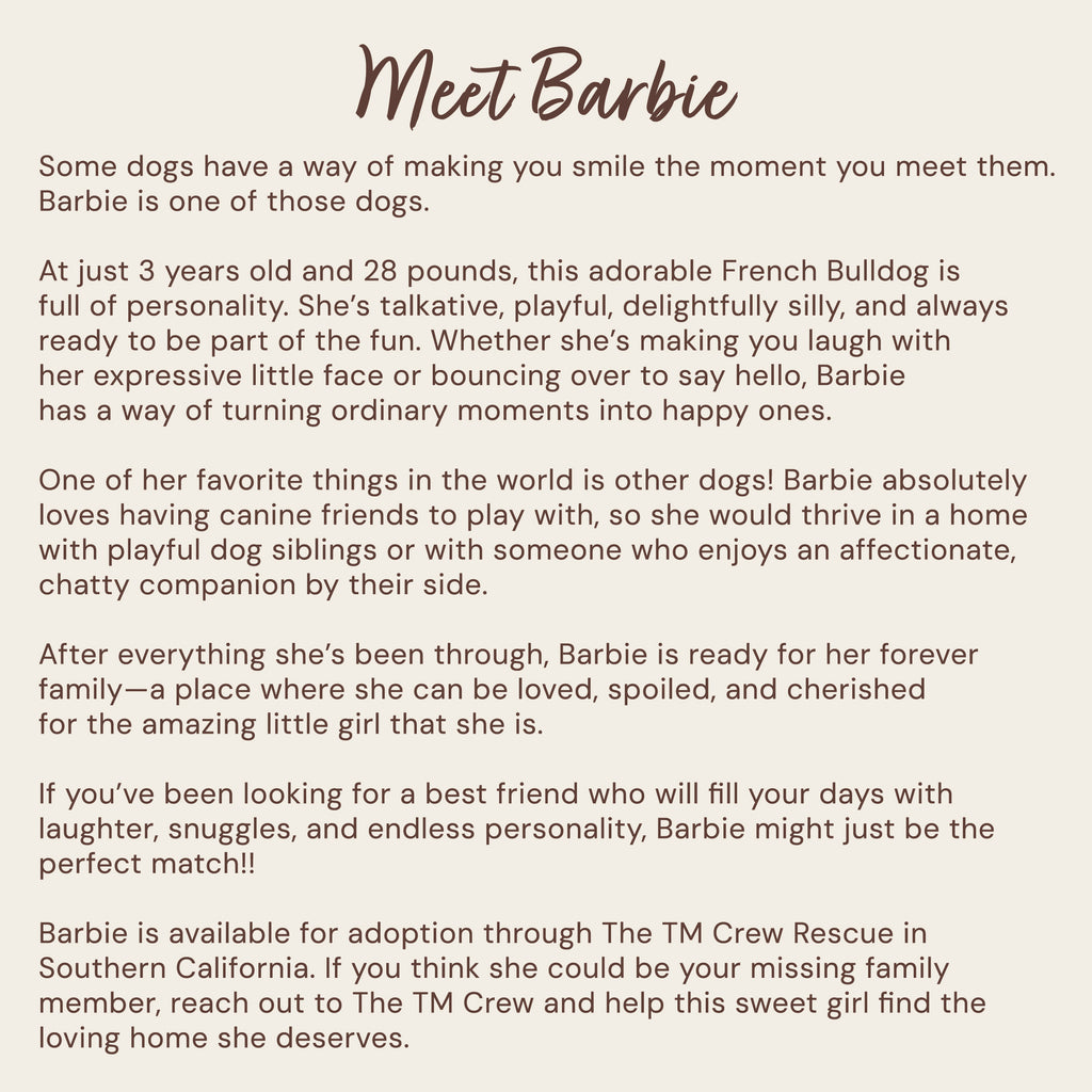 A text-based promotional poster titled 'Meet Barbie' on a warm beige background, describing a French Bulldog adopted from The TM Crew in Southern California.