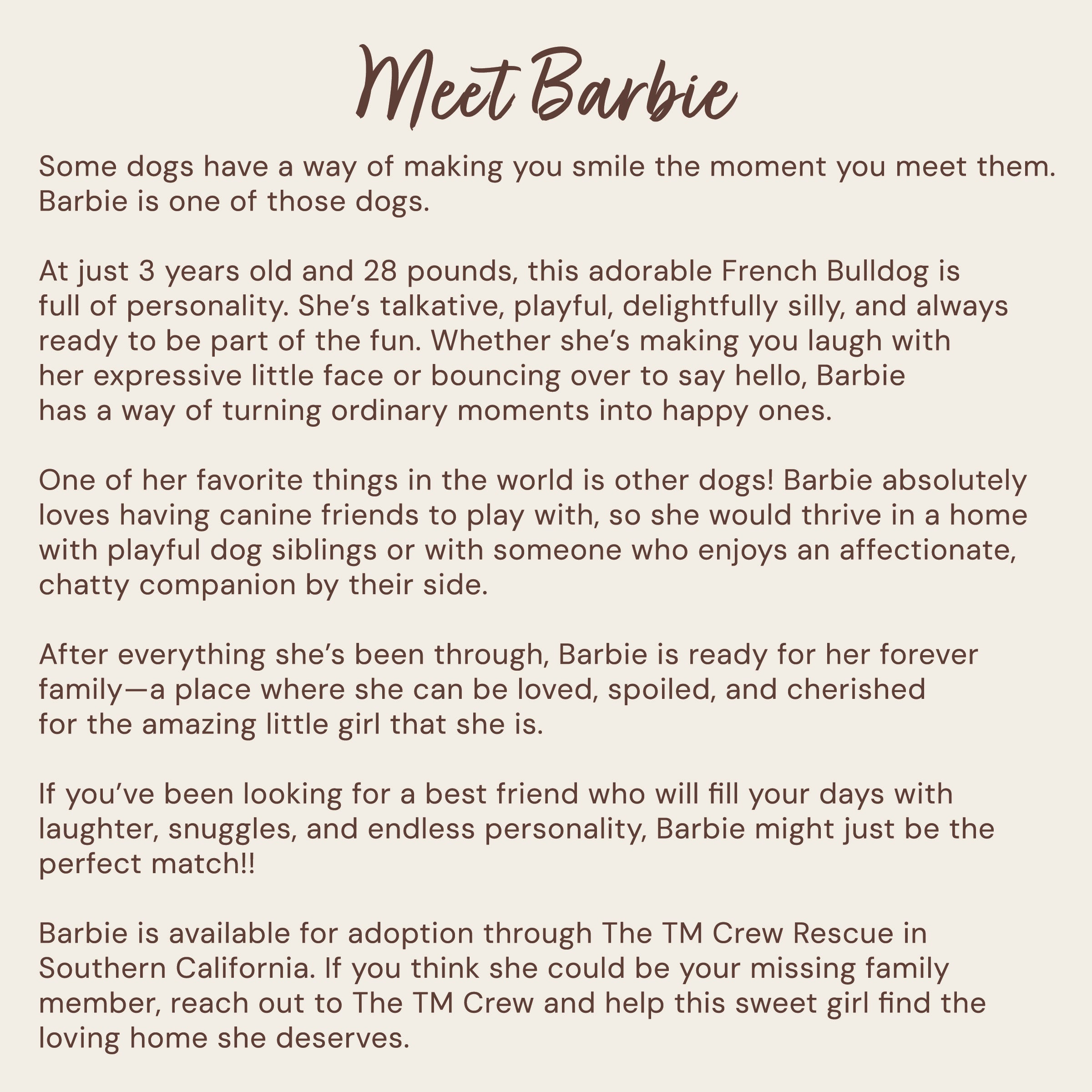 A text-based promotional poster titled 'Meet Barbie' on a warm beige background, describing a French Bulldog adopted from The TM Crew in Southern California.