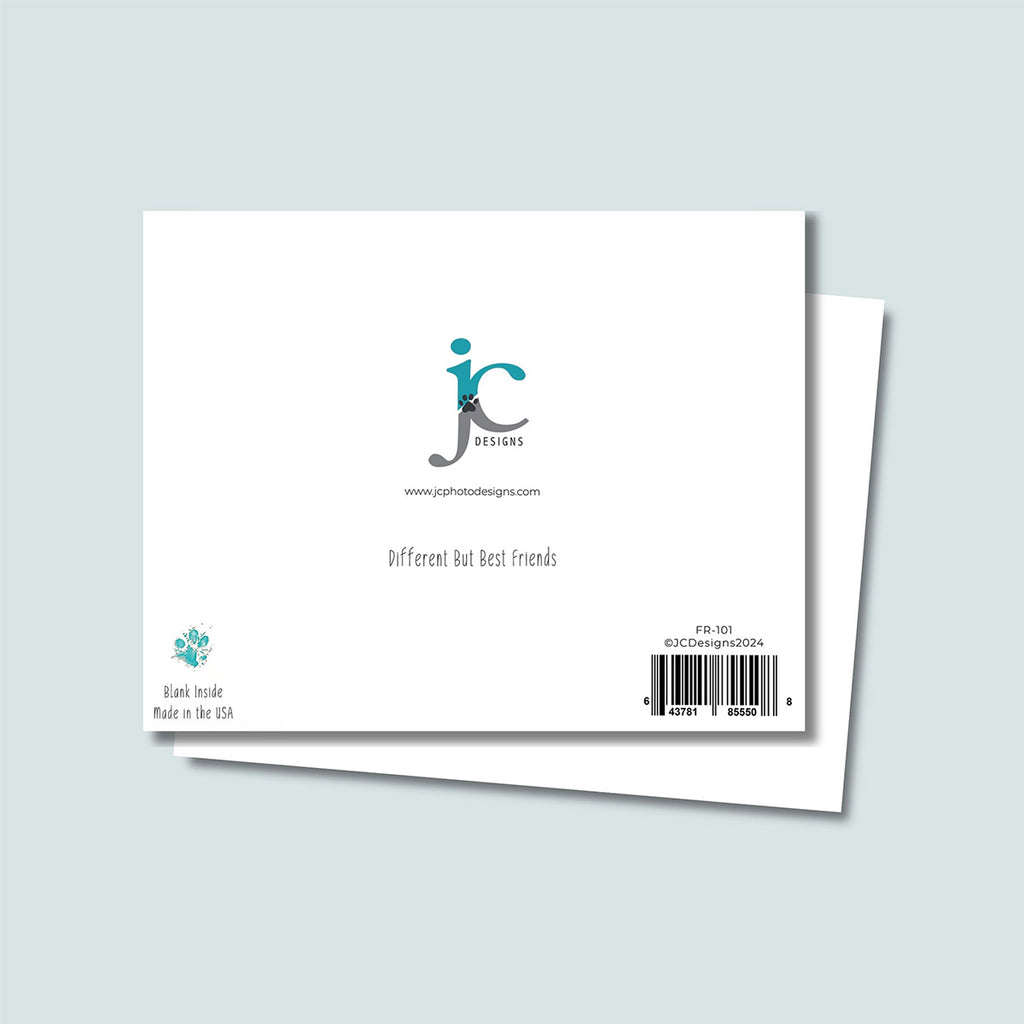 back of Different But Best Friends greeting card showing JC Pet Designs logo and unique tagline message that says "Different But Best Friends", in bottom left corner is Oz's paw print in teal color and text below paw print says "blank inside, made in the USA", and in the bottom right corner is the sku and barcode