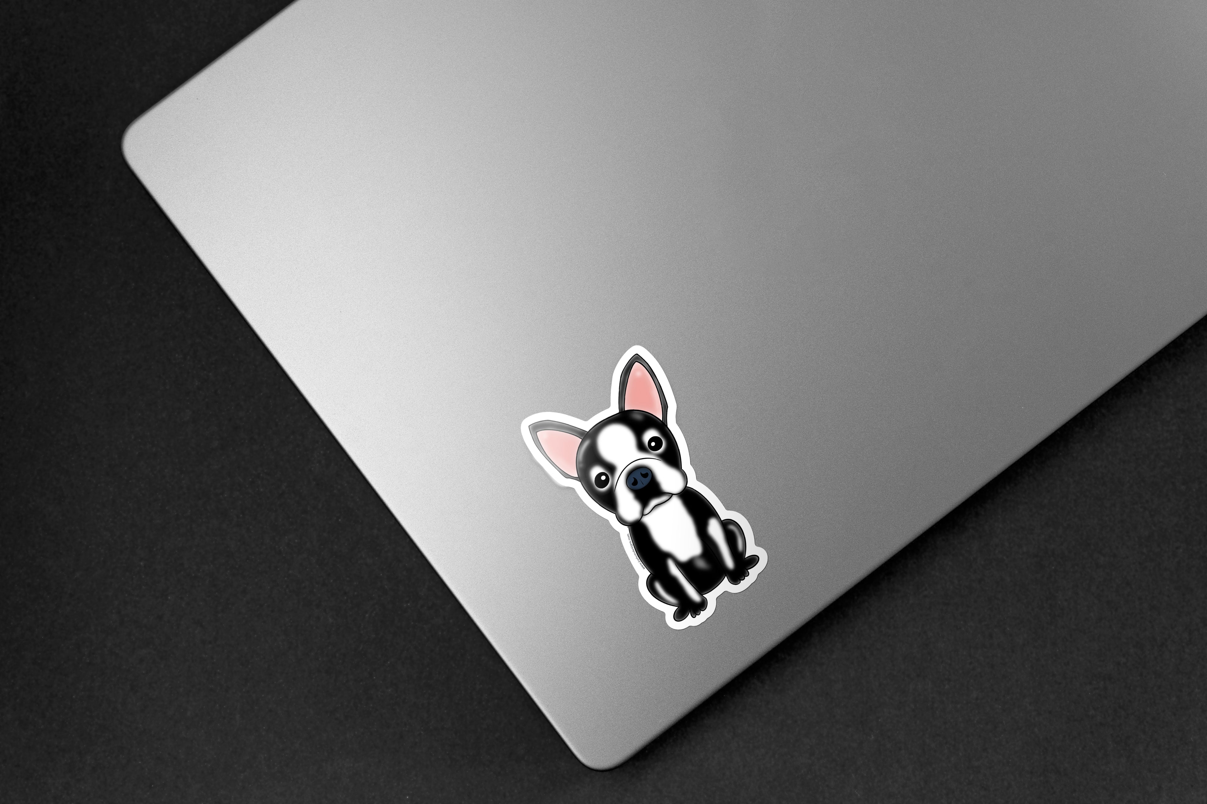 Boston Terrier Dog Sticker - Hand-Drawn Vinyl Decal