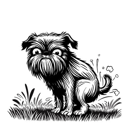 Brussels Griffon black and white art print