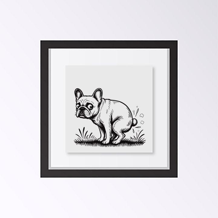 French bulldog pooping black and white art print in black frame