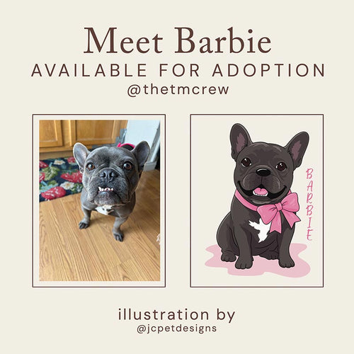 Promotional graphic for a pet adoption listing featuring a real French bulldog on the left and a cartoon illustration of the same dog styled as Barbie on the right. Text reads 'Meet Barbie AVAILABLE FOR ADOPTION @thetmcrew' and 'illustration by @jcpetdesigns' on a beige background.