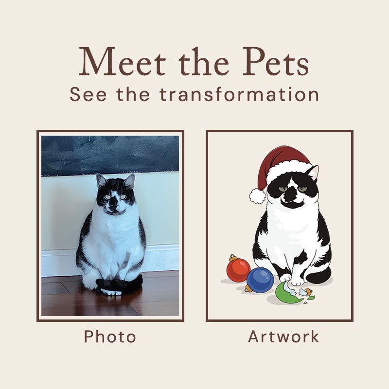 Comparison of a real cat and its cartoon depiction with a Santa hat on a beige background.