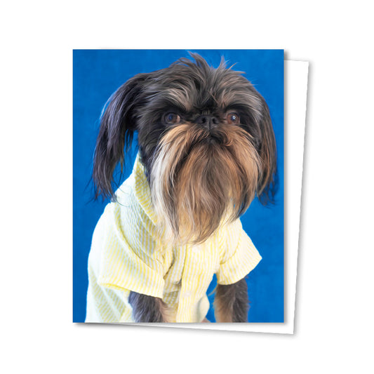 Business Attire Brussels Griffon Dog Greeting Card