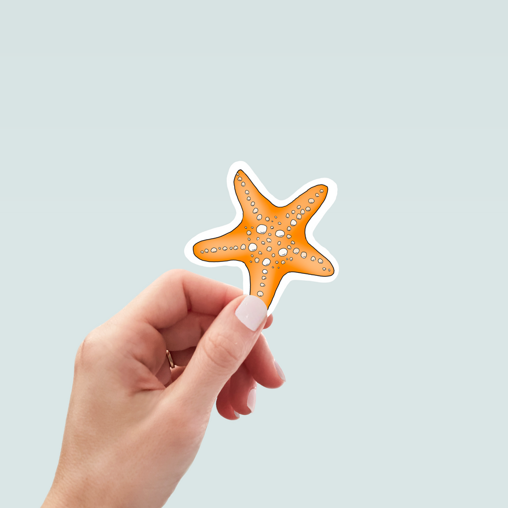 Orange Starfish Sticker - Hand-Drawn Vinyl Decal