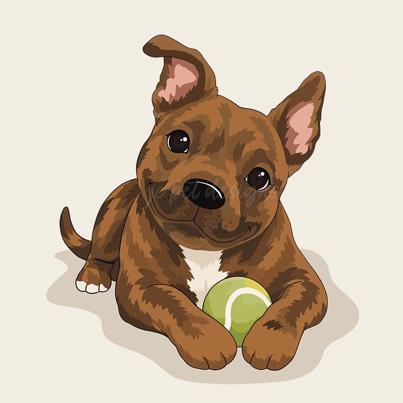 Timber – Pit Bull – AVAILABLE FOR ADOPTION