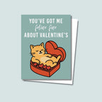 Feline Fine Valentine's Day card featuring an orange cat relaxing on a box of red heart chocolates inside a red heart-shaped chocolate box, text in white on the top of the card reads "You've got me Feline Fine about Valentine's", the card has a muted teal background