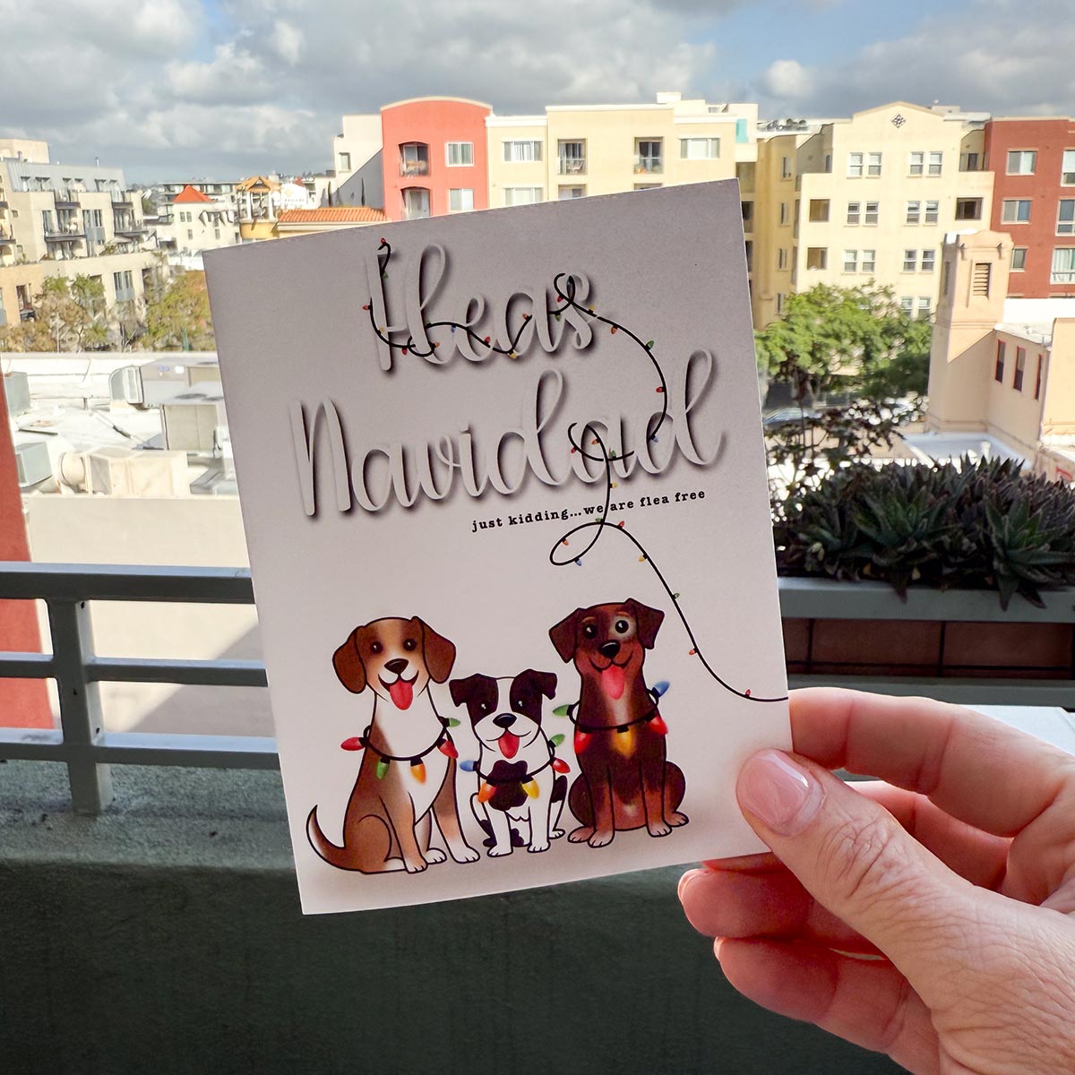 hand holding card outdoors with colorful city buildings in the background, the Fleas Navidad Christmas card features three cute dogs wrapped in colorful holiday lights with the funny phase "Fleas Navidad, just kidding...we are flea free", colorful holiday lights wrapped through the texts from top of card to lower right side, card has a white background