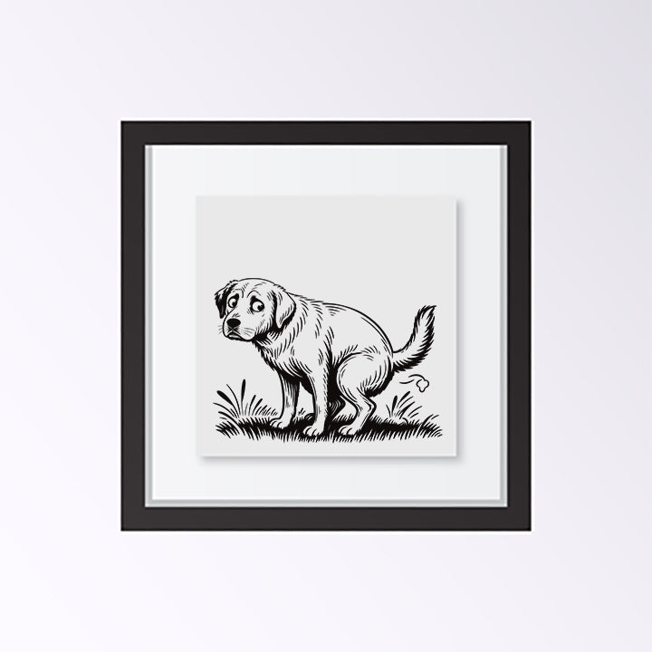 Framed black and white illustration of a lab dog  pooping on a white background