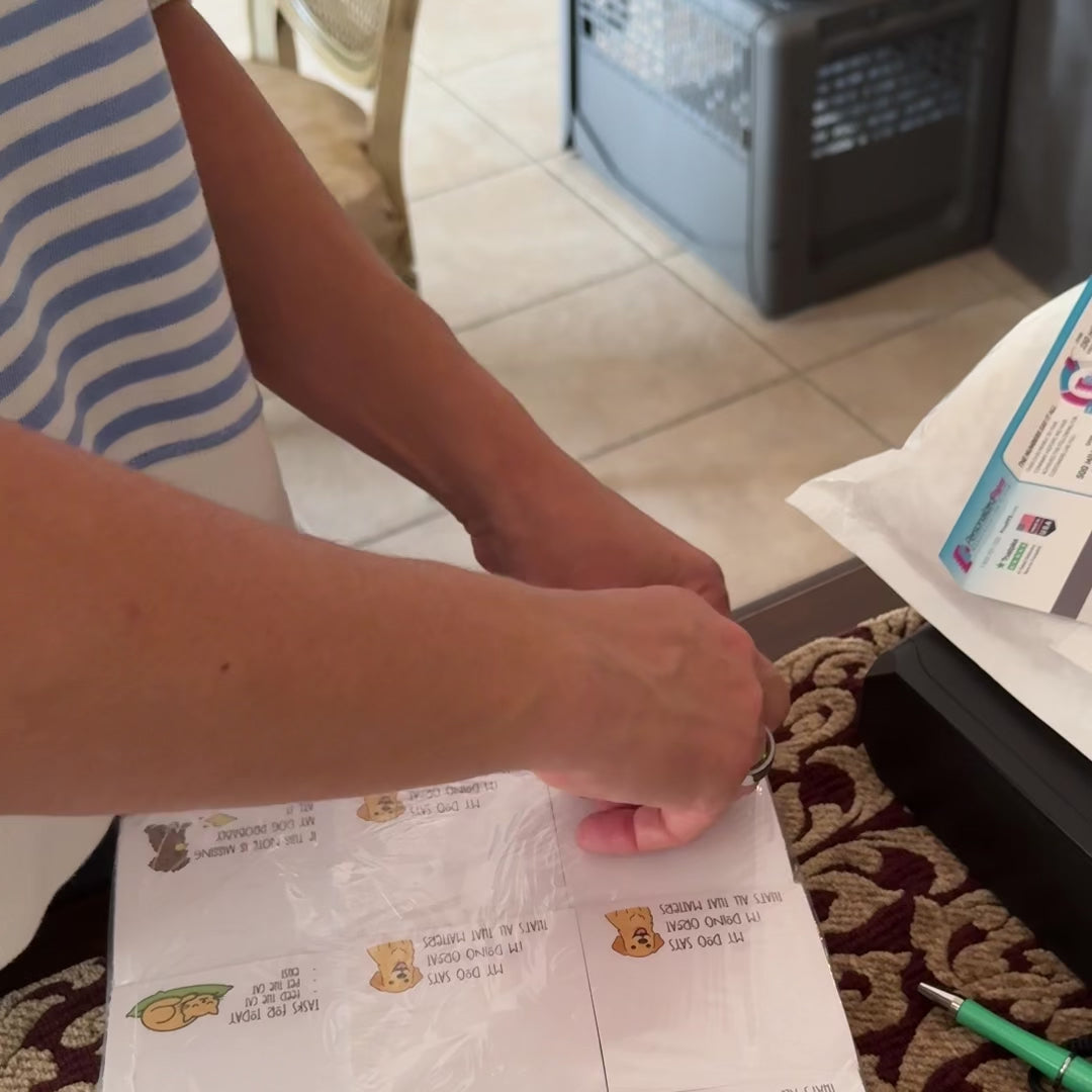 Cat Daily Tasks Sticky Notes – Funny Pet Lover Hand-Drawn Notepad